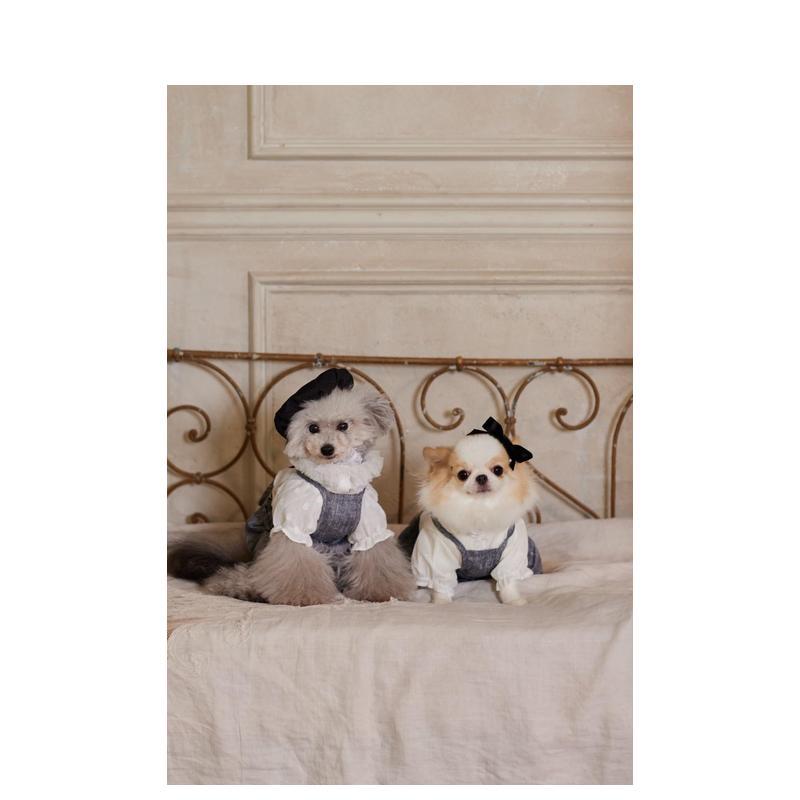 小型犬向けのかわいい服装：日本のライフスタイルをテーマにした - Japanese Lifestyle Book のレビューと価格